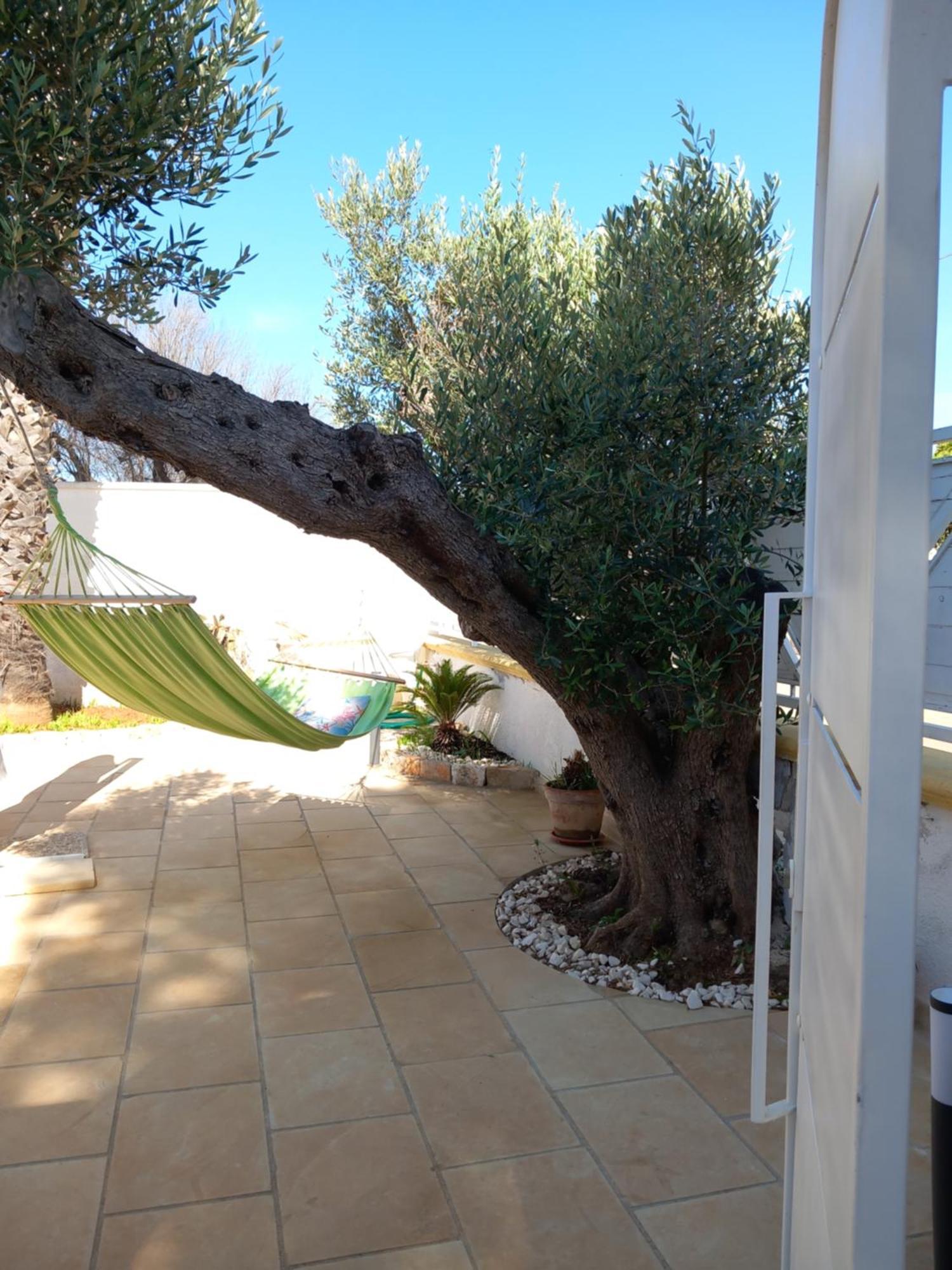 Alessandro House Porto Cesareo Exteriör bild